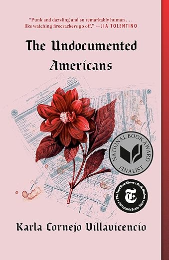 cover of The undocumented Americans