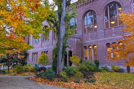 Exterior view of the entrance to the Wilson building of Western Libraries framed by trees in fall colors with orange, yellow, and green leaves.