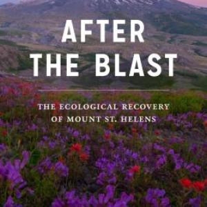 Book jacket titled "After the Blast: the ecological recovery of Mount St. Helens," Mt. St. Helens at sunset in the background with wildflowers in the foreground