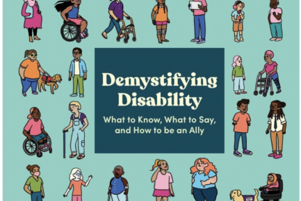Demystifying disability book cover with a variety of humans illustrated